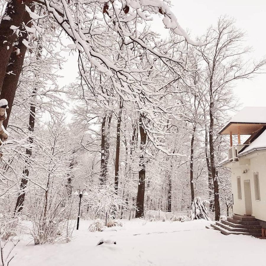 Hotel Magnolia Nagykanizsa Exteriér fotografie